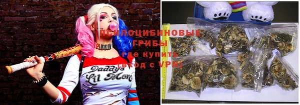 сатива Абдулино