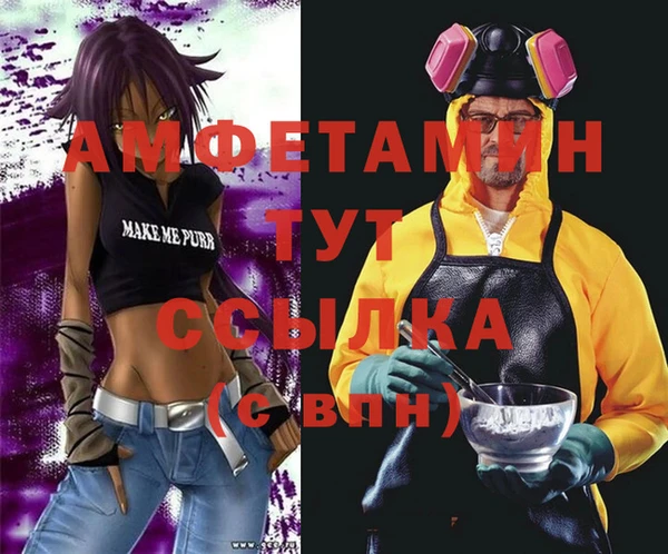 крисы Абаза